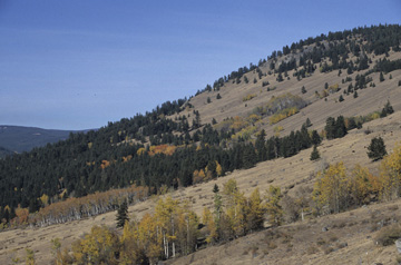 Okanogan Ecoregion scene